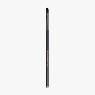 Shryoan Lip Makeup Brush